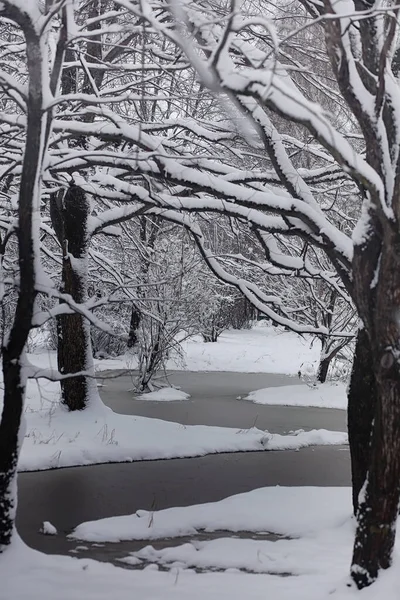 Parque de inverno coberto de neve e bancos. Parque e cais para alimentação — Fotografia de Stock