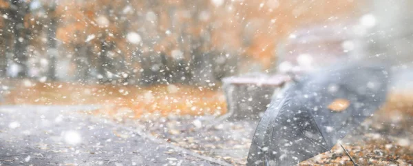 Fondo parque de otoño en la primera nieve —  Fotos de Stock