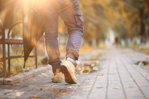 Autumn background in the park — Stock Photo, Image