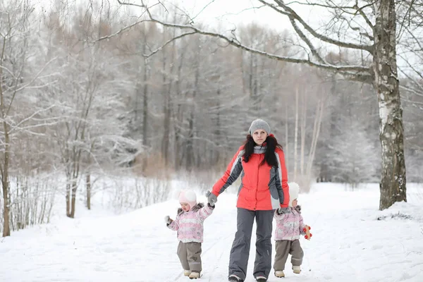 Children walk in the park in winter. Winter forest a family with