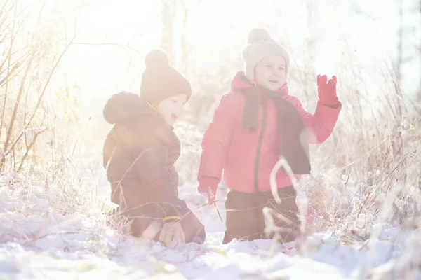 Mignons Enfants Vêtements Chauds Jouant Dans Parc Hiver — Photo