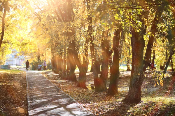 Autumn background in the park — Stock Photo, Image