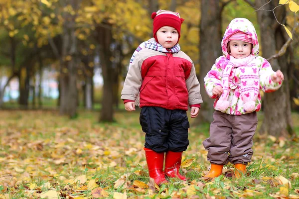 Kinderen Die Plezier Hebben Tijdens Een Wandeling Het Herfstpark — Stockfoto