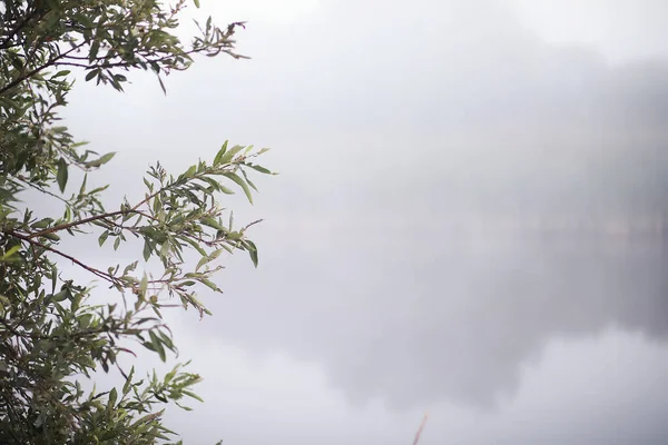 Mist in het meer. Ochtend natuurwater witte mist. — Stockfoto