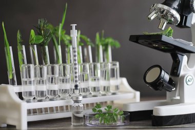 Mikroskop ve test bölümleri laboratuvardaki masanın üzerinde..
