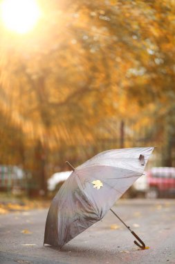 Parkta sonbahar arka plan