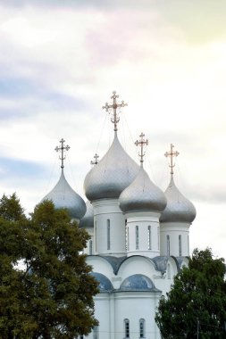 Katedral günbatımı ağaç üzerinde