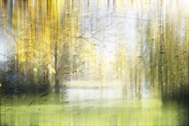 Yağmurlu bir günde sonbahar parkının bulanık görüntüsü