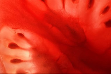 Kırmızı domates tohumları doku ile ikiye böldüm