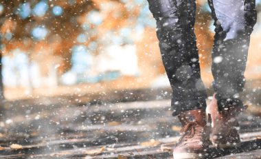 İlk karda sonbahar parkı