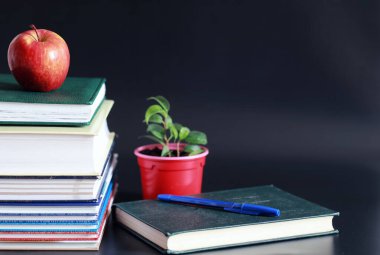 Masanın üzerinde bir yığın kitap ve ders kitabı var. Bilme konsepti