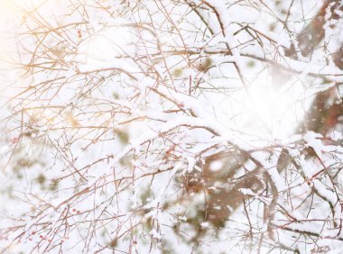 Winter Park 'ta. Karlı havada manzara manzarası. Ocak.