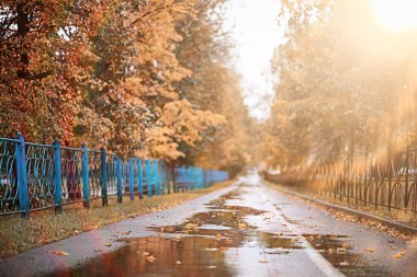 parkta sonbahar yağmur