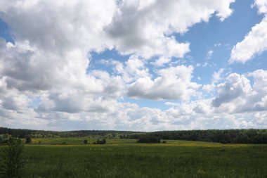 Yatay yaz mevsimindeyiz. Yeşil ağaç ve otların arasında kırsal arazi