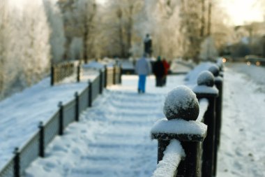 çit kapalı kar kış parkı 
