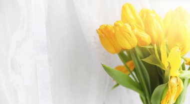 Pencere kenarındaki vazoda bir buket sarı lale. Kırmızı lale çiçeklerinden bir kadın günü hediyesi. Pencerenin yanındaki vazoda güzel kırmızı çiçekler