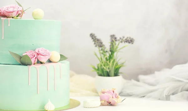 Confectionery flavored cakes for a holiday — Stock Photo, Image