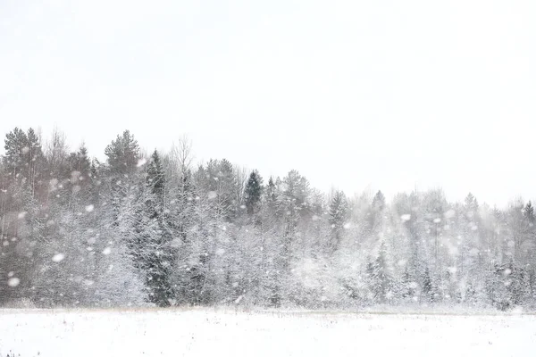 Winterlandschaft aus Feldern und Straßen — Stockfoto