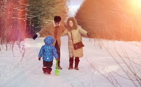 Parque de invierno bajo la nieve. Enero mañana caminar a través de la para — Foto de Stock