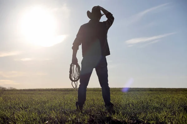 Um chapéu de cowboy e um loso no terreno. agricultor americano em um f — Fotografia de Stock