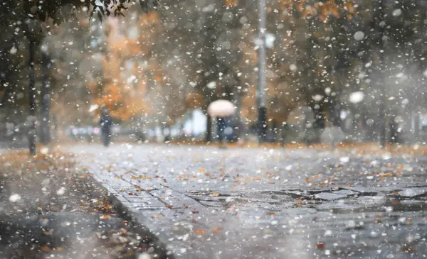 初雪の秋の公園 — ストック写真