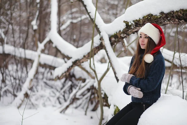 Una ragazza in un parco invernale a fare una passeggiata. Vacanze di Natale in t — Foto Stock