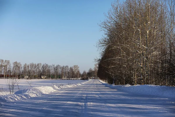 Порожня сільська дорога в лісі в зимовий день — стокове фото