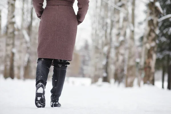 산책에 겨울 공원에서 젊은 여자. T에 크리스마스 휴일 — 스톡 사진