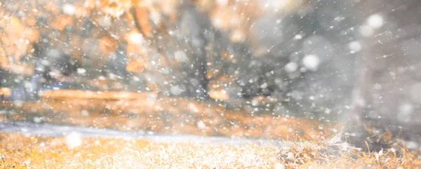 Фон осіннього парку в першому снігу — стокове фото