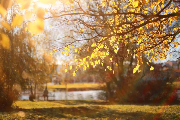 Podzimní pozadí v parku — Stock fotografie