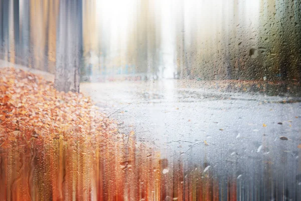 Hintergrund Herbstregen im Park — Stockfoto
