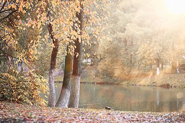 Podzimní déšť v parku — Stock fotografie