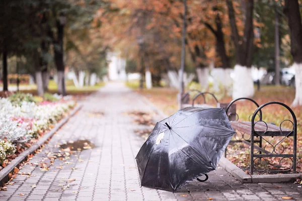 Autunno parco pluviale nel mese di ottobre — Foto Stock