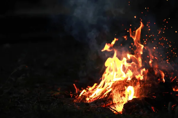 Bonfire in nature. Campfire with flame and coal.