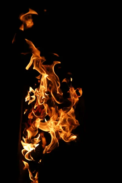 Línguas de chama de fogo de cor amarelo-alaranjada de abeto ardente — Fotografia de Stock