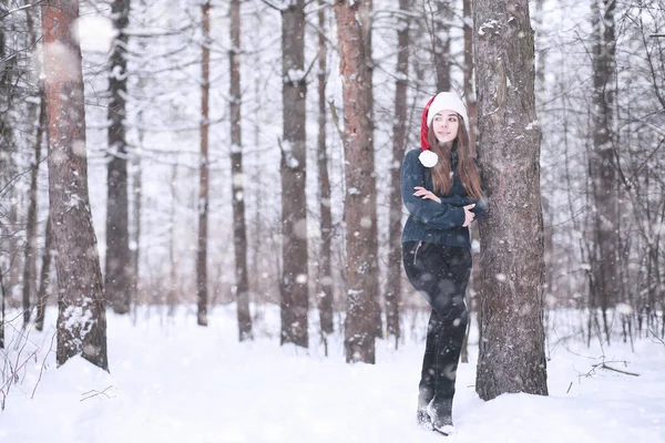 Chica en un parque de invierno en las nevadas —  Fotos de Stock