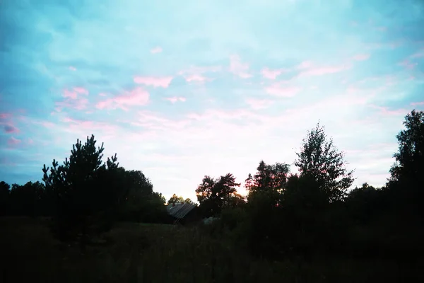 Frühlingssonnenuntergang Über Dem Wald Rosa Und Blaue Wolken Sonnenuntergang — Stockfoto