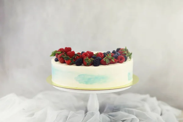 Hermosa galleta de pastel festivo con diferentes cremas — Foto de Stock