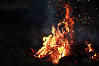 Doğada şenlik ateşi. Alev ve kömür ile kamp ateşi.