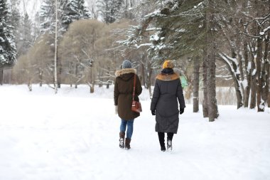 Güzel bir kış parkta güzel kız