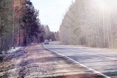 Çam ormanı içinde kar altında baharın başlangıcı. Orman BM