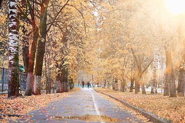 parkta sonbahar yağmur