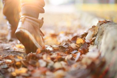 Parkta sonbahar arka plan