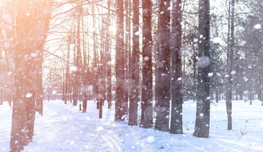 Kış manzara kar expanses kaplı. Kışın bir parkta 