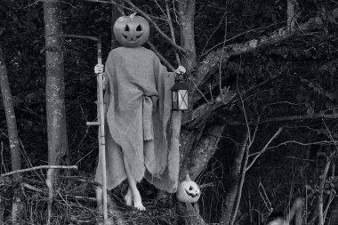 Kafası kabaktan oyulmuş.