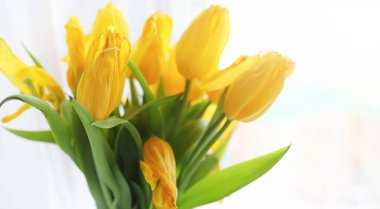 Pencere kenarındaki vazoda bir buket sarı lale. Kırmızı lale çiçeklerinden bir kadın günü hediyesi. Pencerenin yanındaki vazoda güzel kırmızı çiçekler