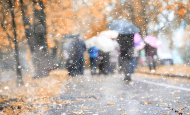 İlk karda sonbahar parkı