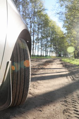 Yatay yaz mevsimindeyiz. Yeşil ağaç ve otların arasında kırsal arazi