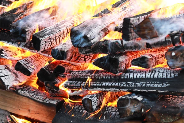 Wooden logs burn with a bright flame in the fire — Stock Photo, Image