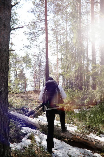 Člověk je jako turista v borovém lese s batohem. A turistické tr — Stock fotografie